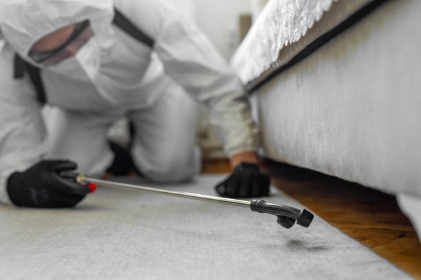 Professional Bed Bug Control technician working in Hicksville, OH