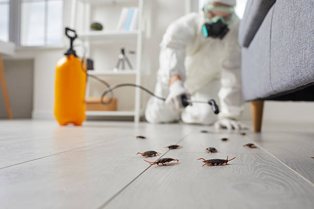 Trusted Termite Control service in Hicksville, OH - Nex Pest Control