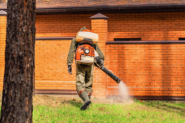 Trusted Emergency Pest Control service in Hicksville, OH - Nex Pest Control